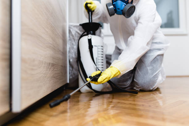Pest Control for Restaurants in Honaker, VA