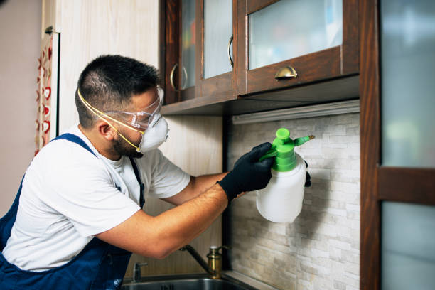 Best Ant Control Services  in Honaker, VA