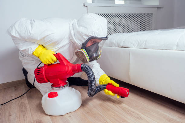 Best Best Pest Control Companies  in Honaker, VA