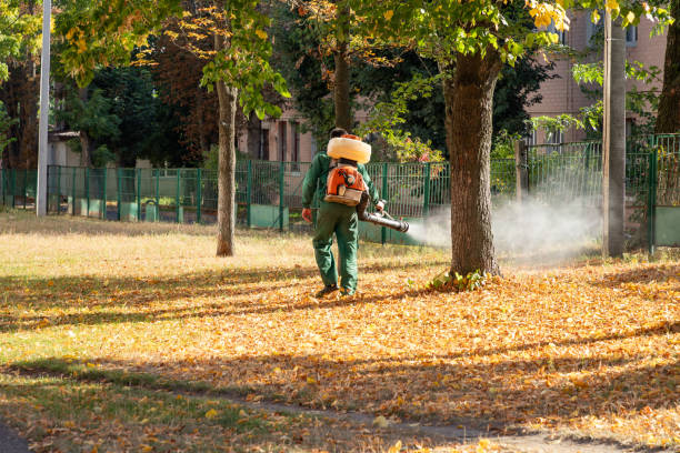Best Cockroach Control Services  in Honaker, VA